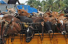 Cattle transportion at  Kundapur : 4 held